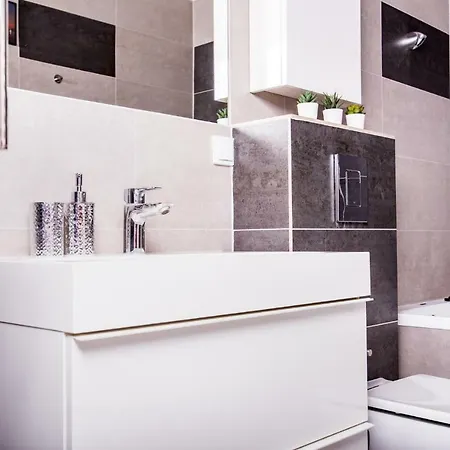 Ice Spacious & Comfortable Appartamento