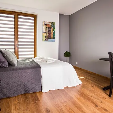 Ice Spacious & Comfortable Appartamento